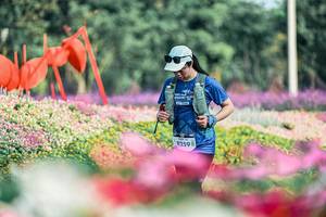 BIB: 
                            <button type="button" onclick="openModal(25933244)" class="btn btn-primary btn-sm float-right btn-popup" data-toggle="modal" data-target=".modal-high-quality">
                        <i class="fas fa-shopping-cart"></i> Add to Cart
                    </button>
                                            <button type="button" onclick="isThisMe(25933244, true)" class="btn btn-success btn-sm float-right btn-popup btn-isme hidden" data-toggle="tooltip" data-placement="bottom" title="นี่คือรูปของคุณใช่ไหม คลิกที่นี่เพื่อเอาเข้าอัลบั้ม">
                        <i class="fas fa-plus"></i> Add to album
                    </button>
                    <button type="button" onclick="isThisMe(25933244, false)" class="btn btn-warning btn-sm float-right btn-popup btn-isnotme hidden">
                        <i class="fas fa-ban"></i> Remove from album
                    </button>